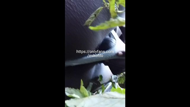 Guy Masturbates Outdoors in Woods