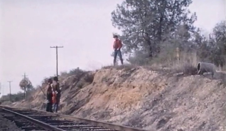 Vintage Gay Train Fantasy with Multiple Partners