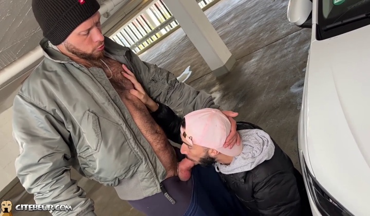 Paul Hengst Gets Oral from Eager Cocksucker