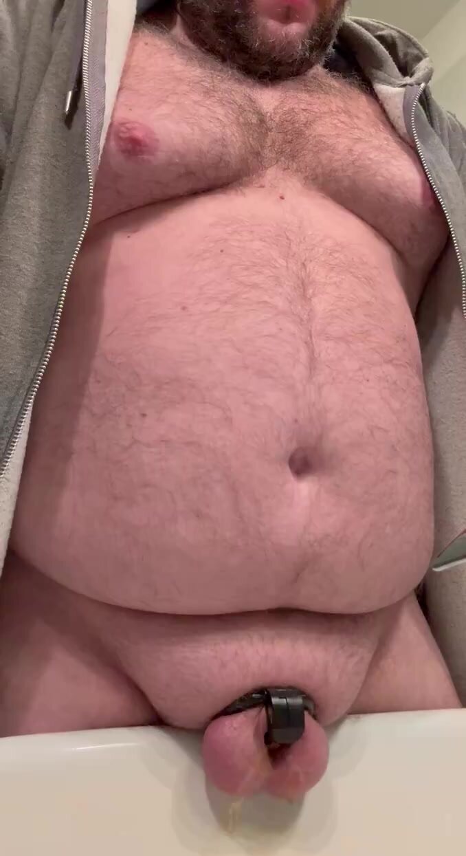 Bear in Chastity Gets Urinated On
