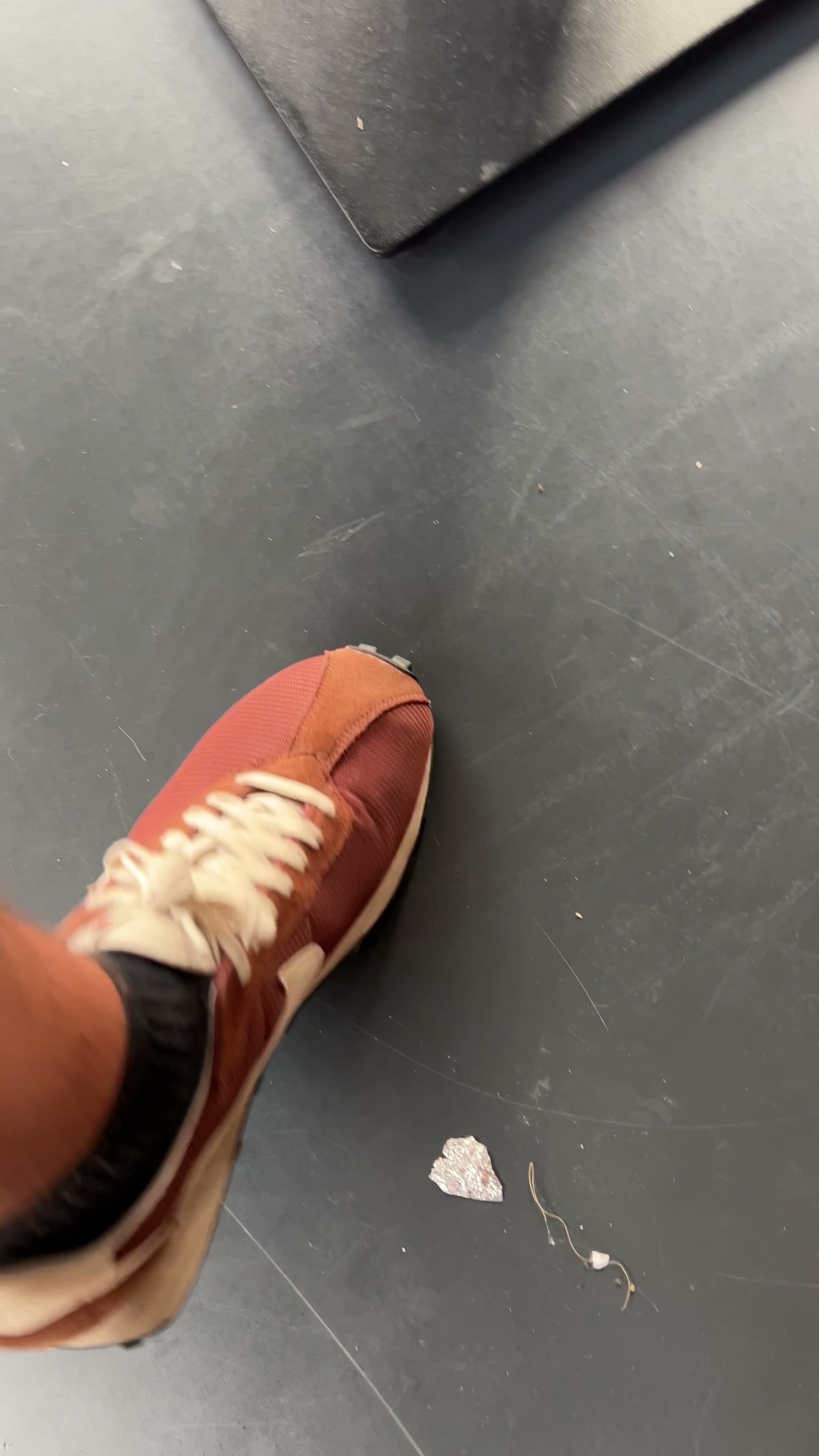 Squishing some invader ants