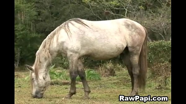 Latino Twinks Engage in Hardcore Bareback Sex