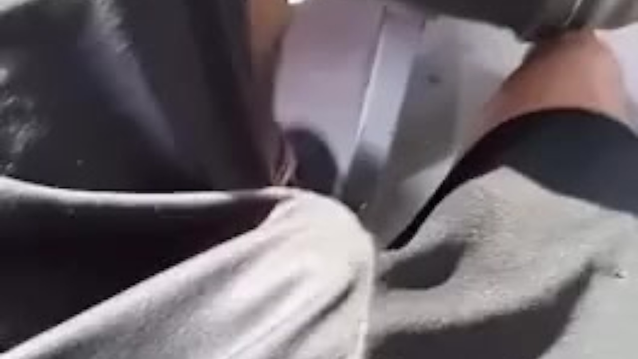 Horny Guy Rushes Home to Fuck on the Bus