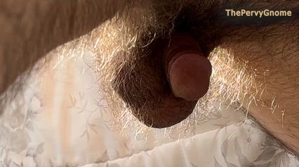 Hairy Guy Shows Off Small Dick