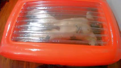 Men Play in Inflatable Prison Cell