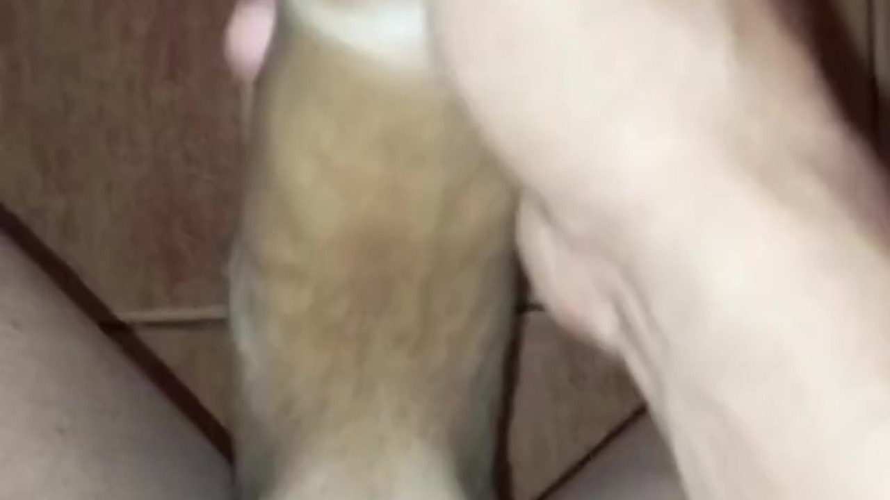 Huge Cock Anal Fucking with Hard Top