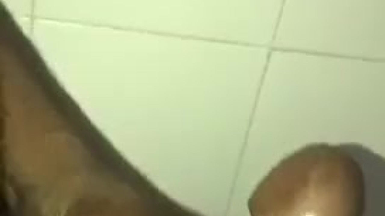 Thick Cock Gets Sucked and Fucked