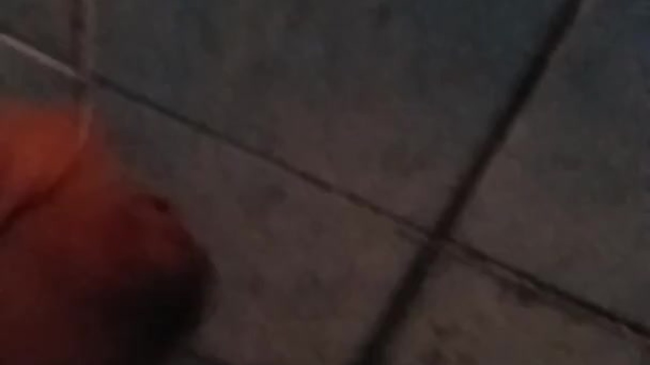 Young Guy Ejaculates on Camera