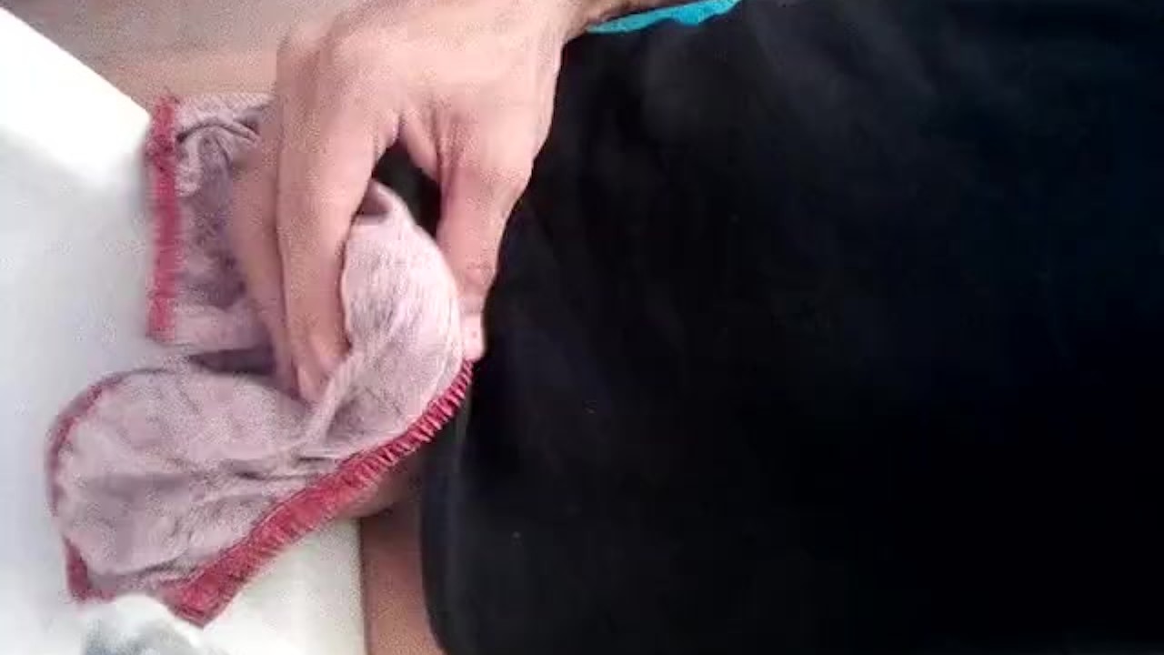 Hairy Guy in Briefs Shows Off