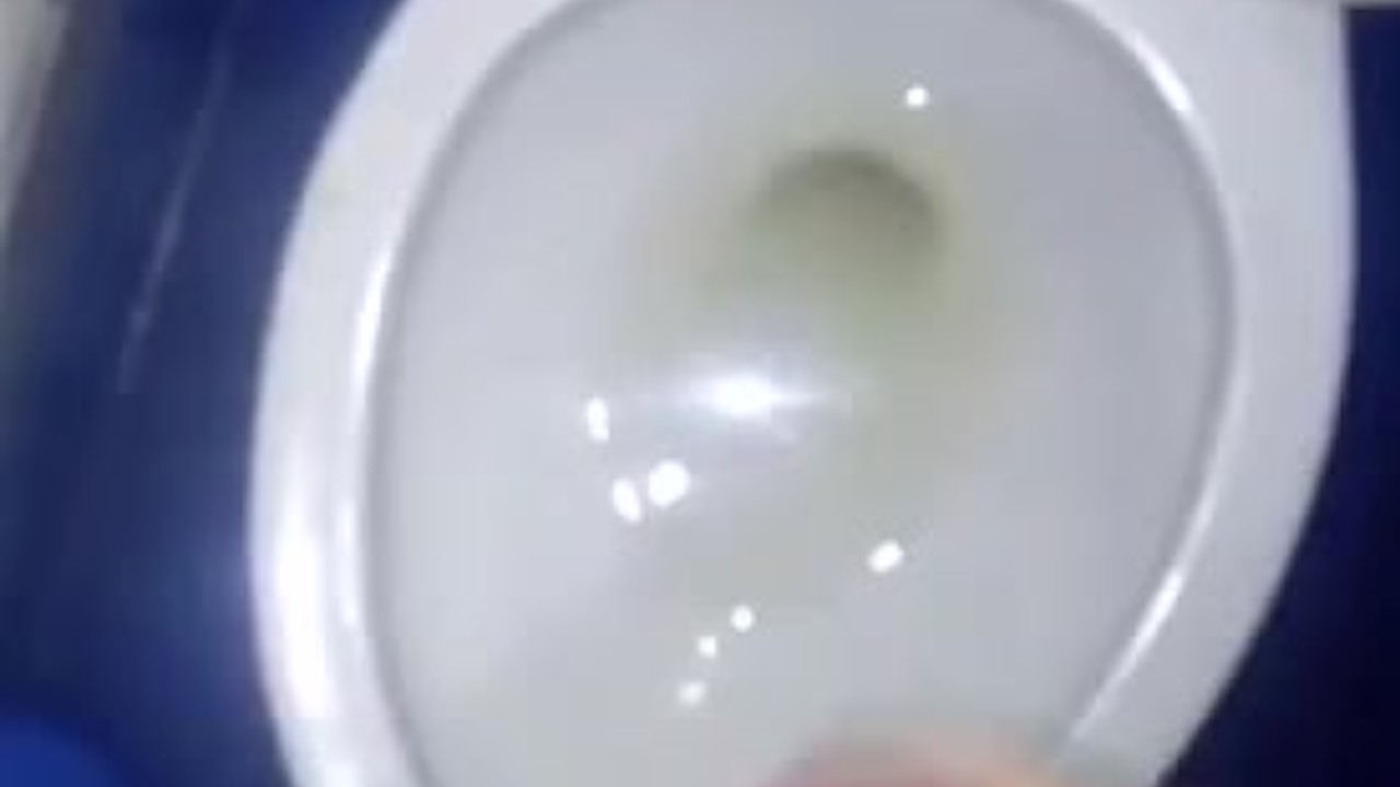 Gay Blowjob in a Quick Oral Fix