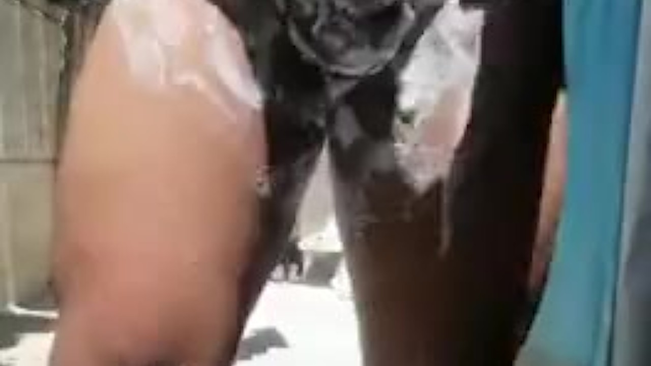 Latin Guy Gets Fucked Outdoor