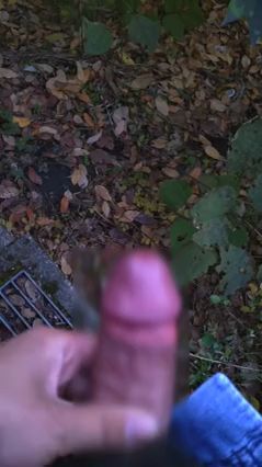 Morning Masturbation to Birdsong