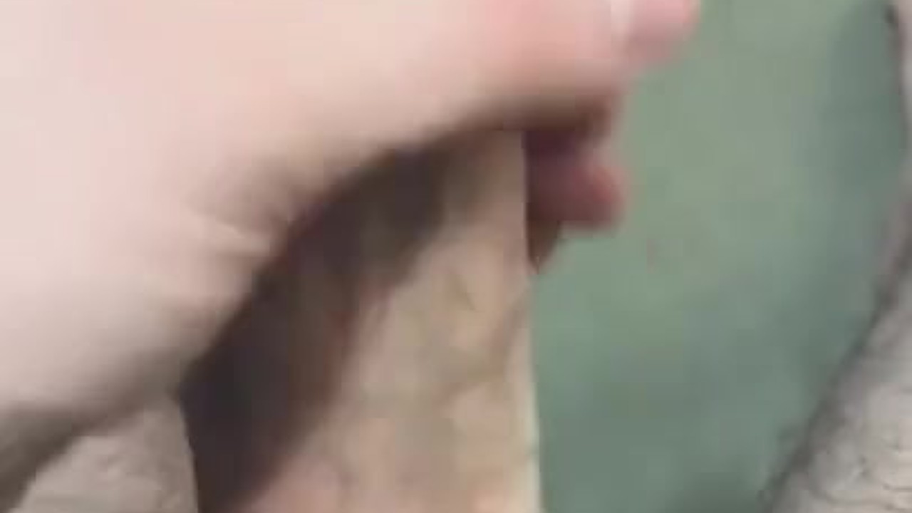 Guy Jerks Off Watching Netflix
