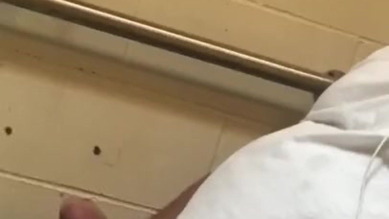 Gym Teacher Masturbates in School Bathroom