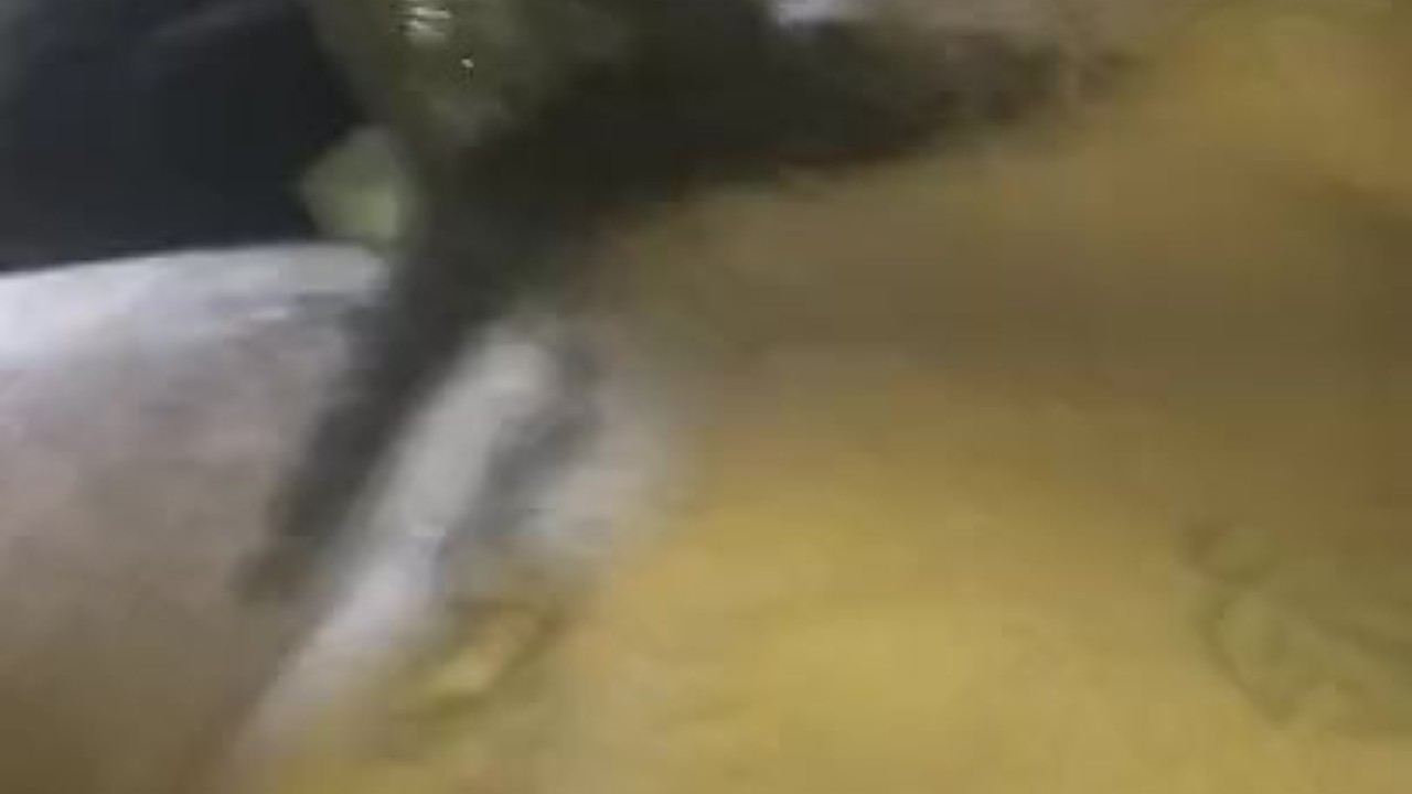 Guy Strokes Off Watching Gay Porn