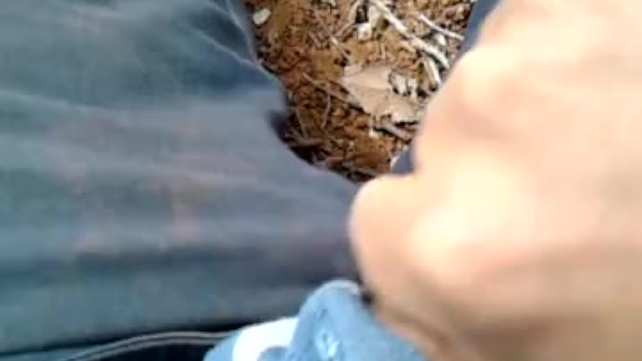 Guy Jerks Off Outdoors in Quick Solo