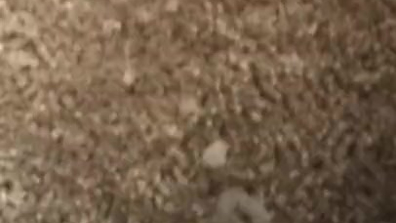Close-Up Cumshot to the Face