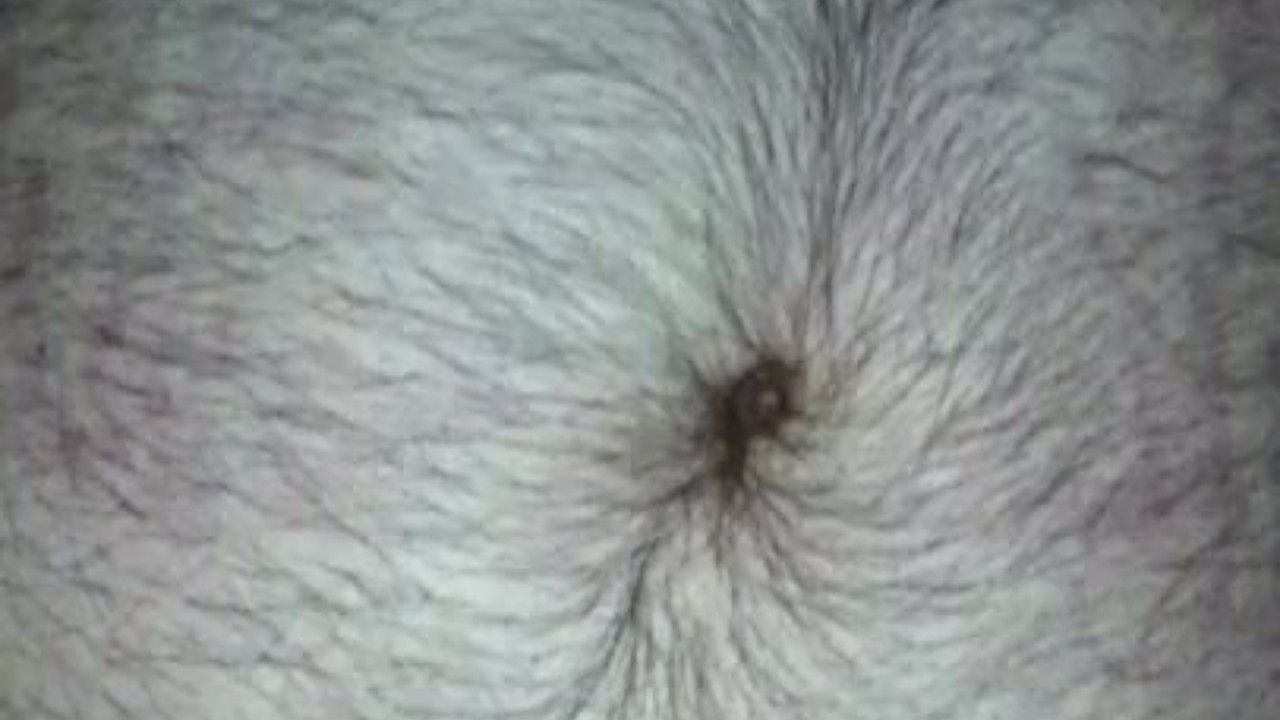 Solo Guy Strokes and Cums at Midnight