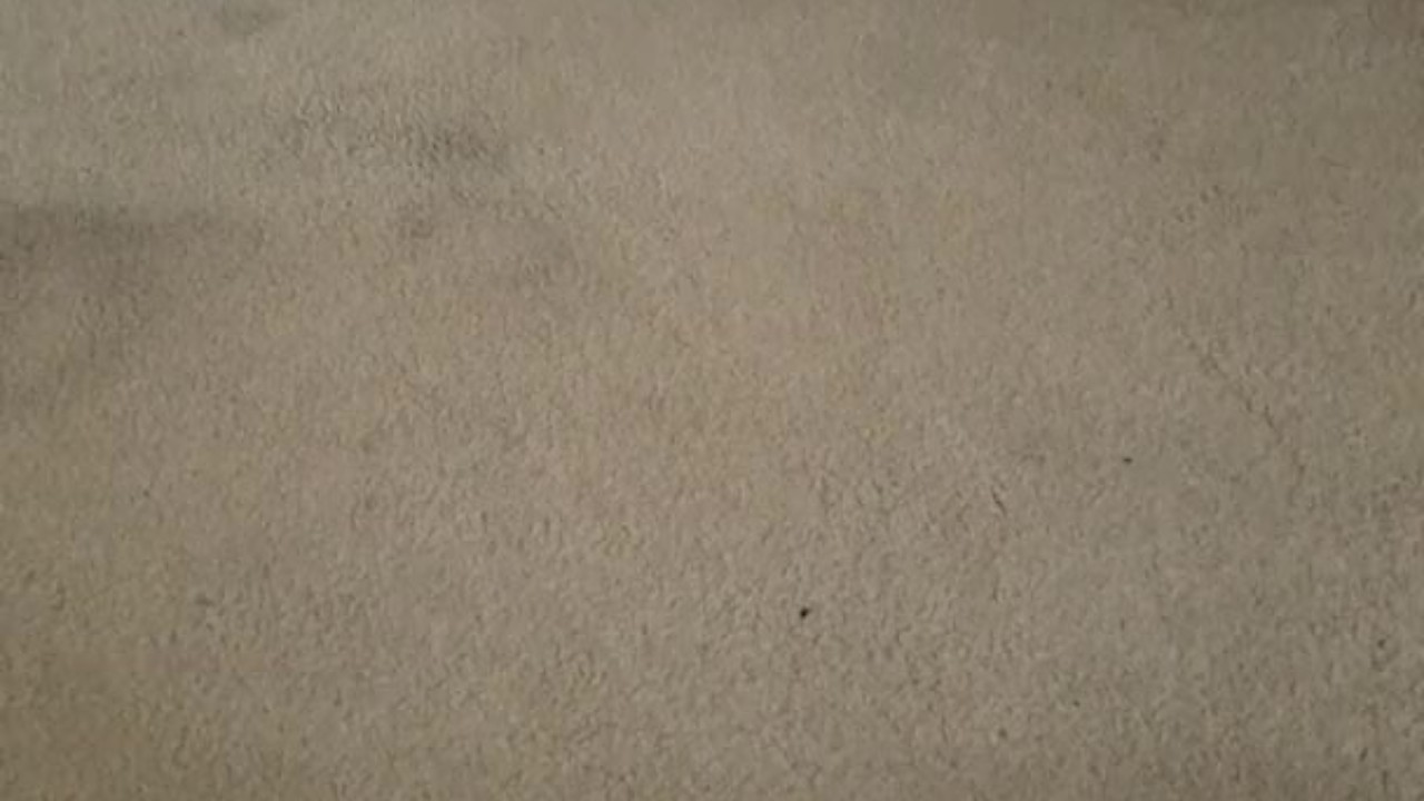 Twink Fucks Roommate's Toy with Piss and Cum