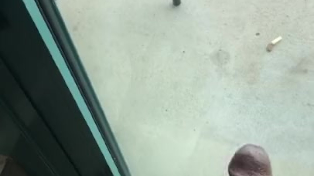 Morning Blowjob from Horny Twink
