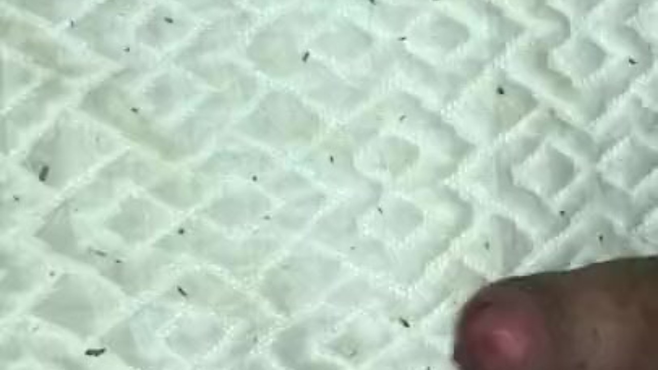 Uncut Guy Fucks Pillow, Ends with Cumshot