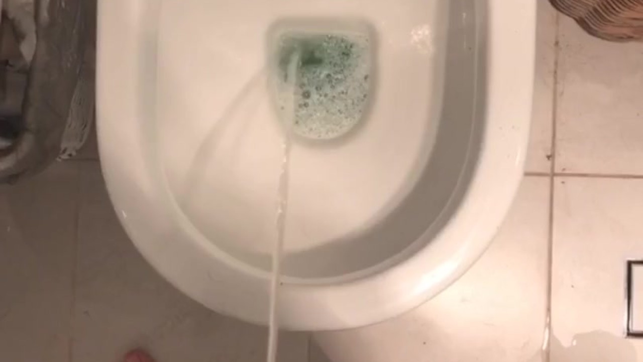 Guy Pisses at Friend's House