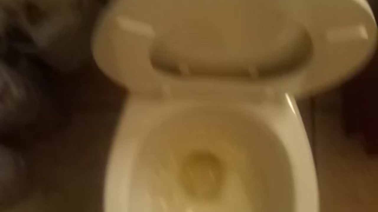 Hunk Urinates with Massive Erection