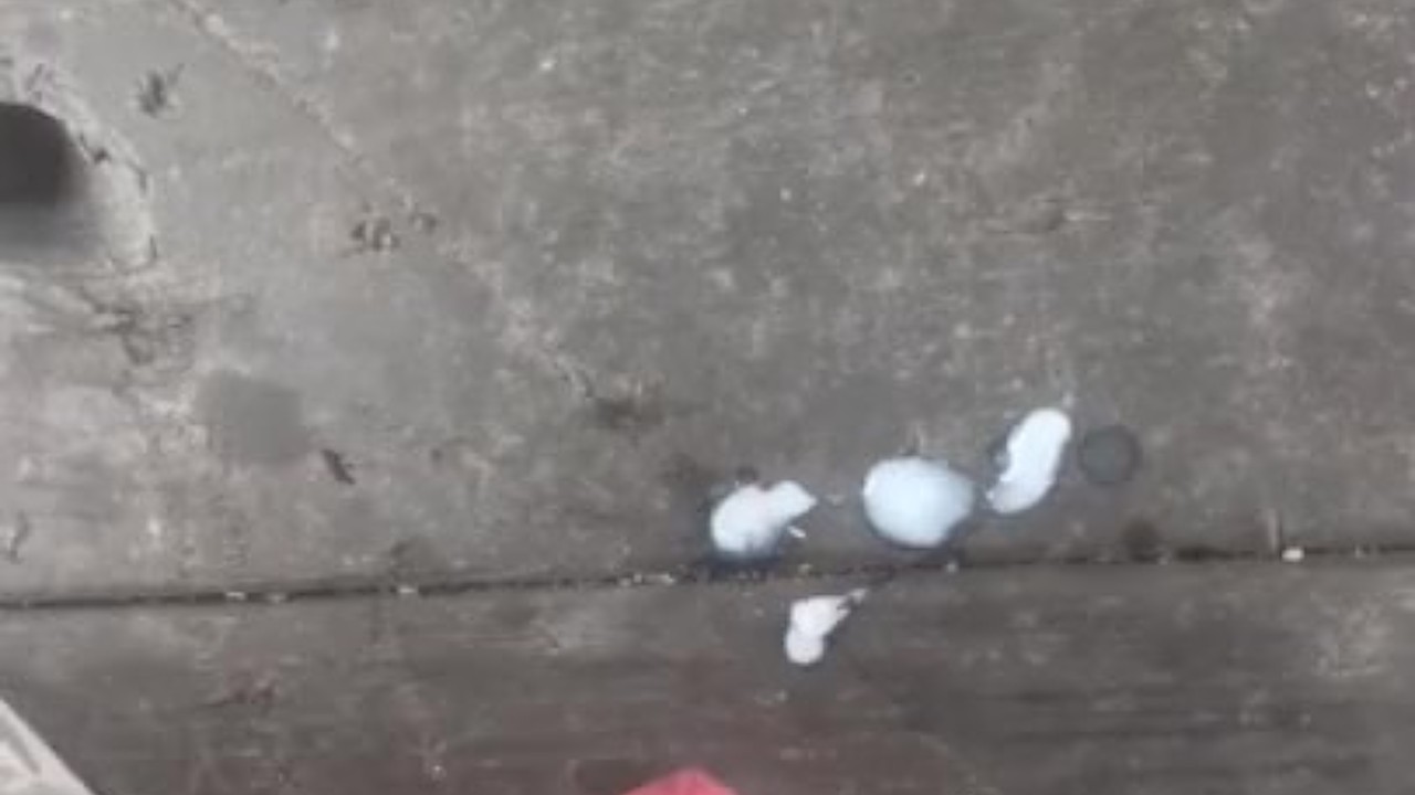 Guy Cums Outside with Thick Load