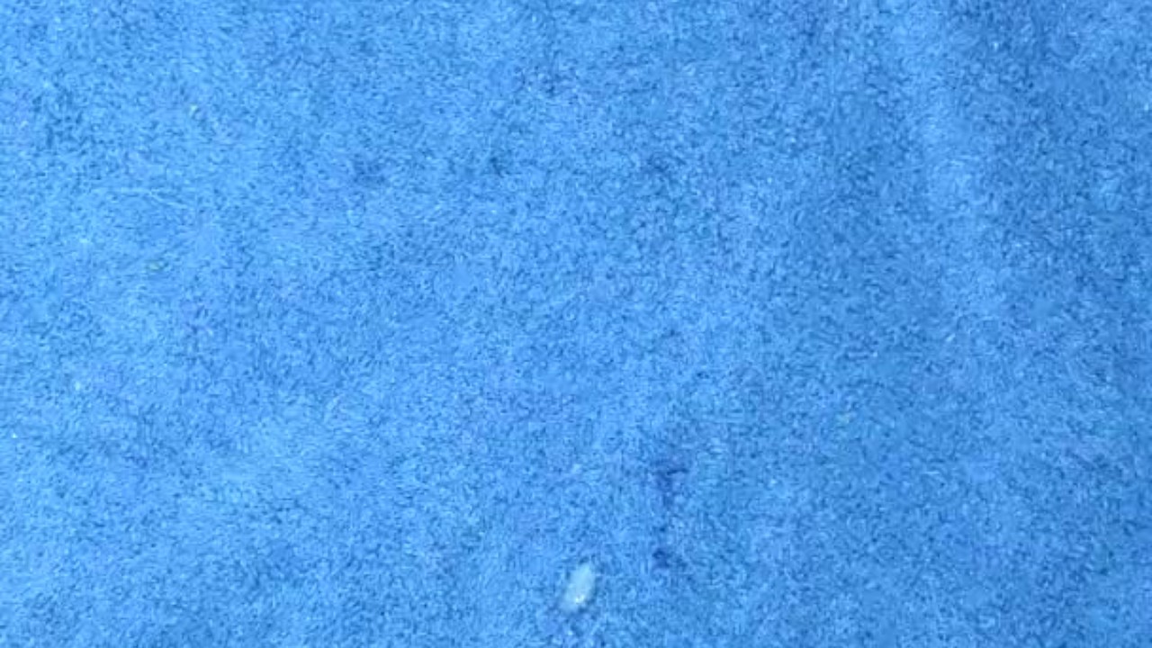 huge cumshot solo masturbation - Free Gay Video