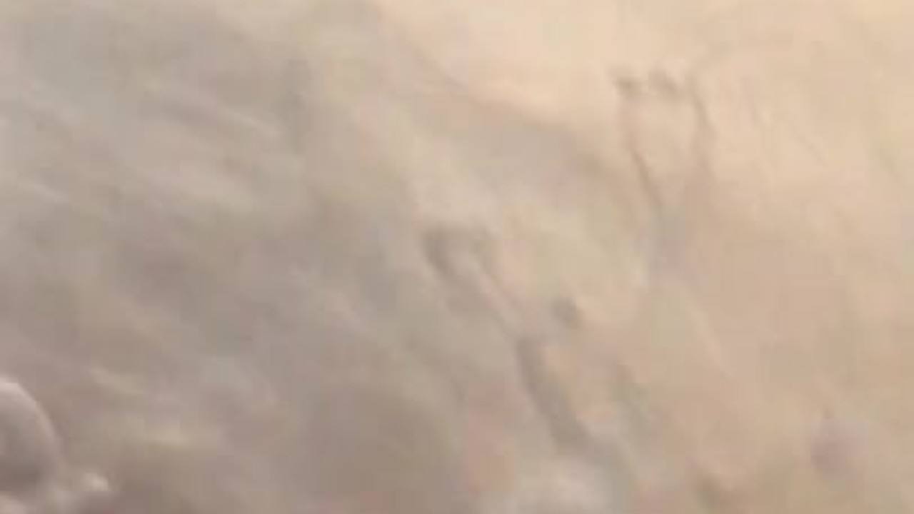 Solo Guy Masturbates and Cums in Shower
