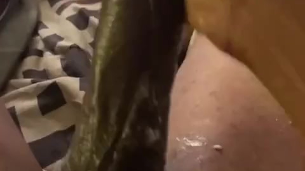 Guy Strokes Off to Creamy Orgasm