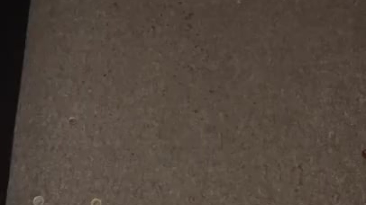 Spraying piss all over my carpet … and I didn’t clean it up